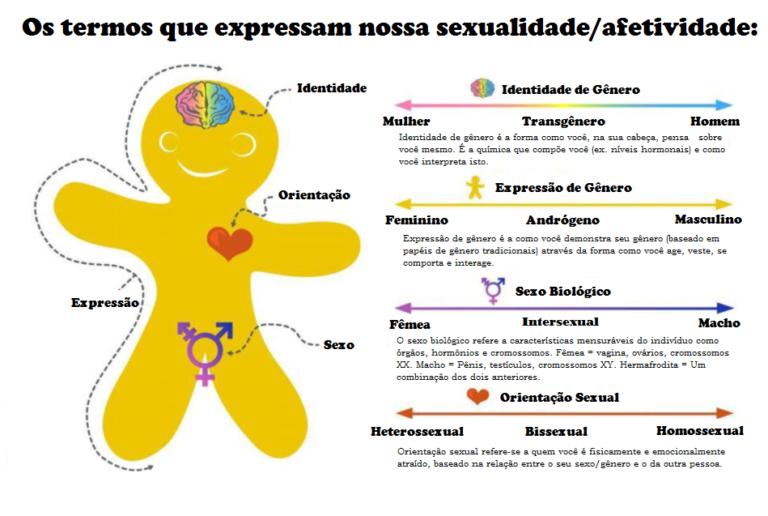 Diferenciando Orientação Sexual, Identidade de Gênero e a Prática ...
